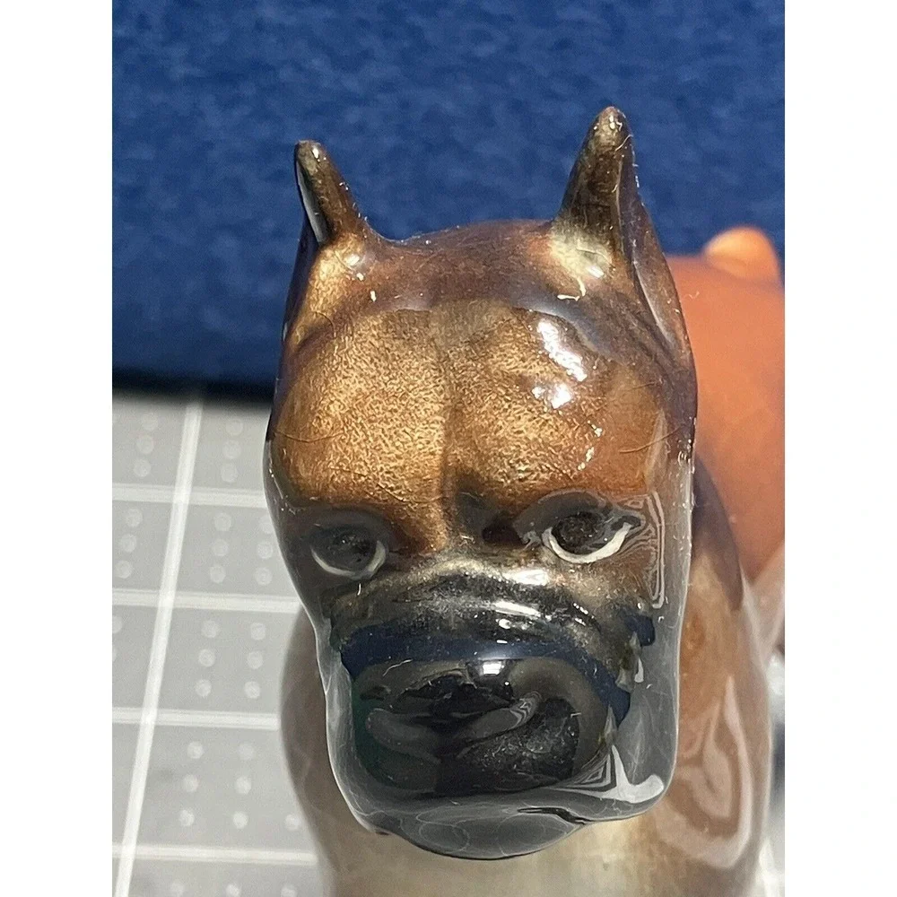 Boxer 